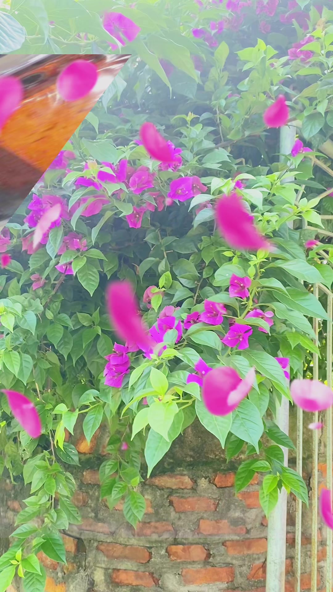 @Phụ kiện ô tô Hoàng Bách