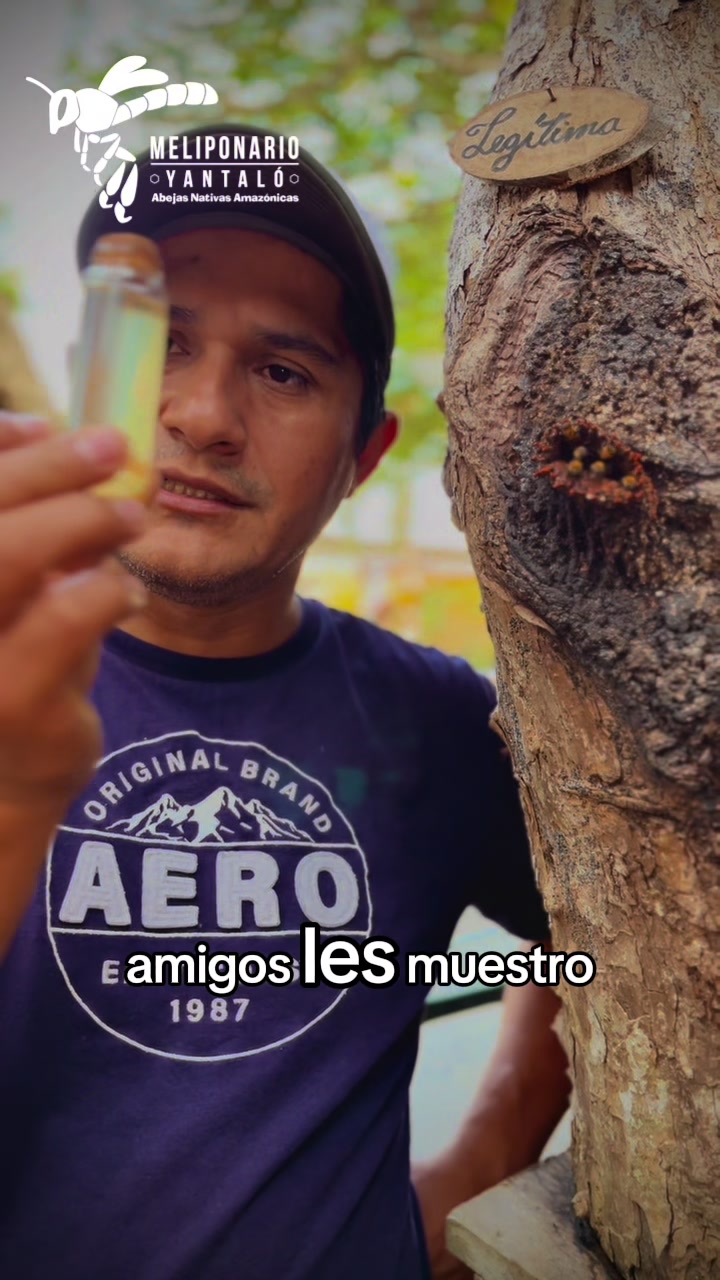 @MELIPONARIO YANTAL&Oacute;