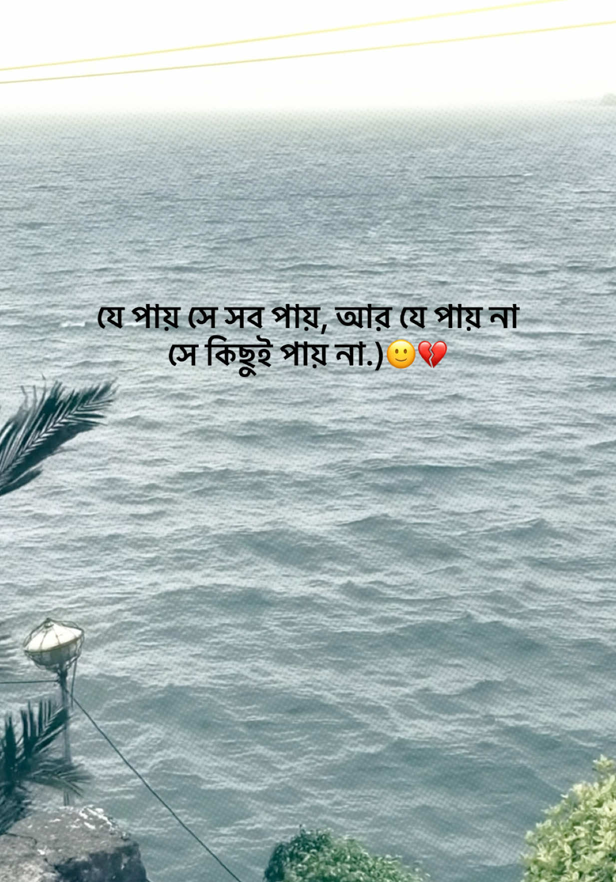 @आईएएन ┊🐥
