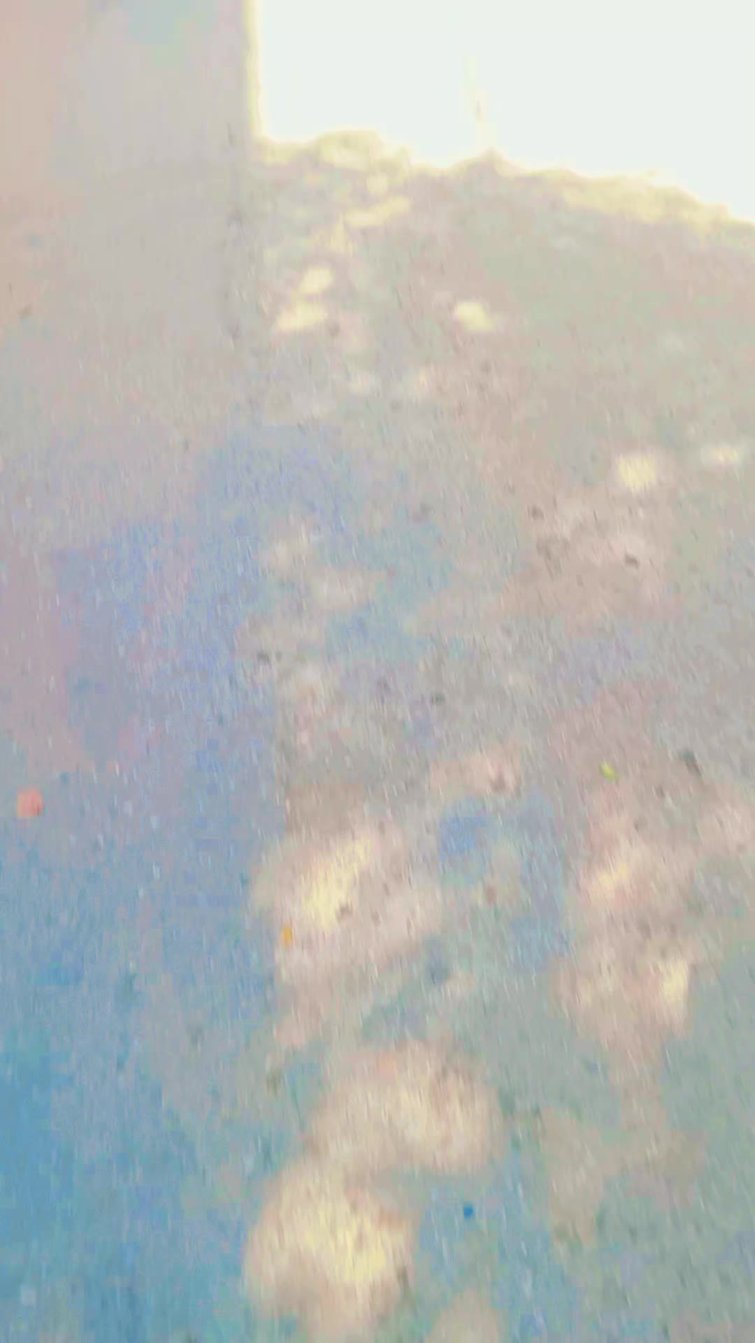 @نوارة 41