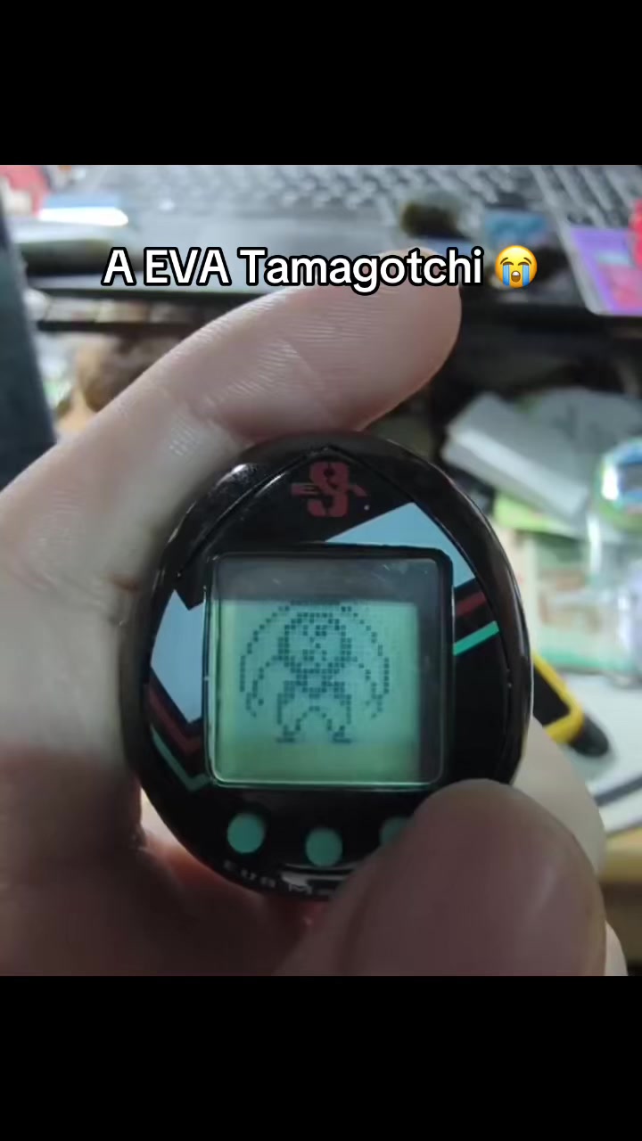 @𓆩ꨄ︎𓆪TOᗪEᔕEᑎGEᒪ𓆩ꨄ︎𓆪
