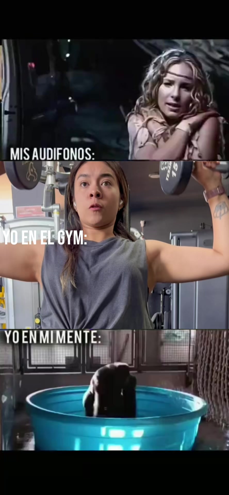 @freysireyes