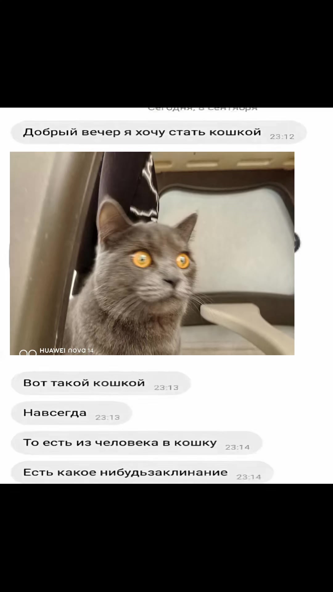 @𝐳𝐞𝐜𝐤𝐚𝐛𝐫𝟎 𝐚𝐧𝐢𝐦𝐞❤