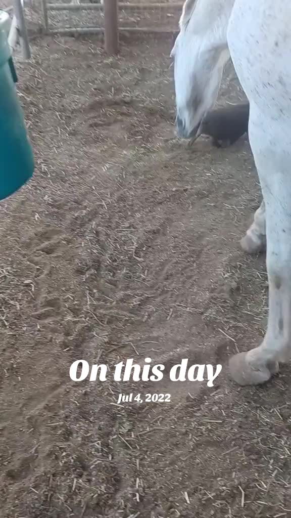@Michelle Cicalese818