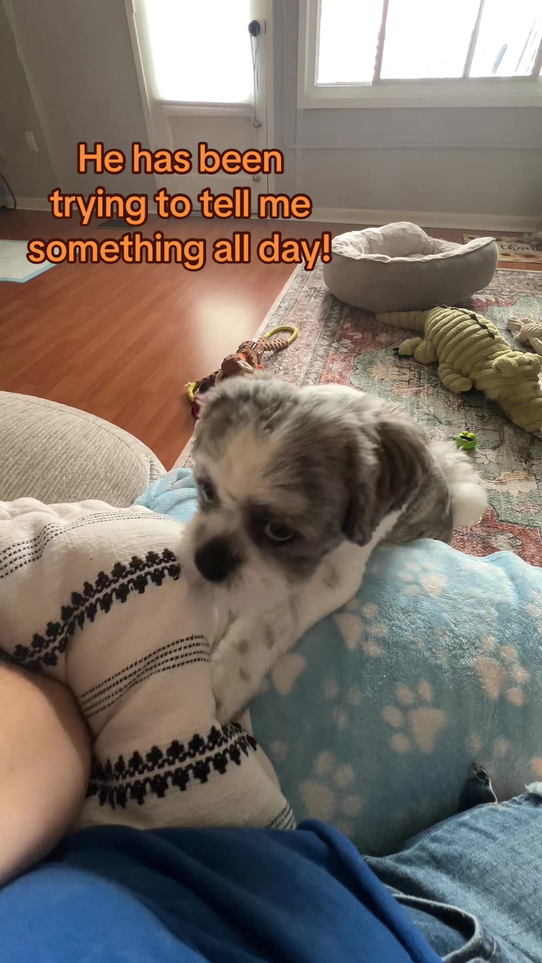 @bonnie_is_here