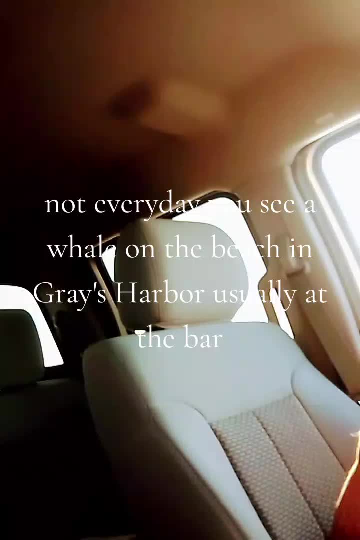 @artsaric