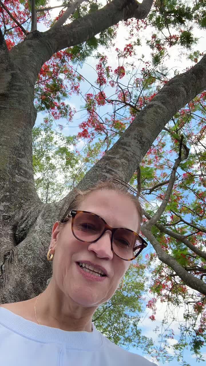 @Mariadlasantana❤️