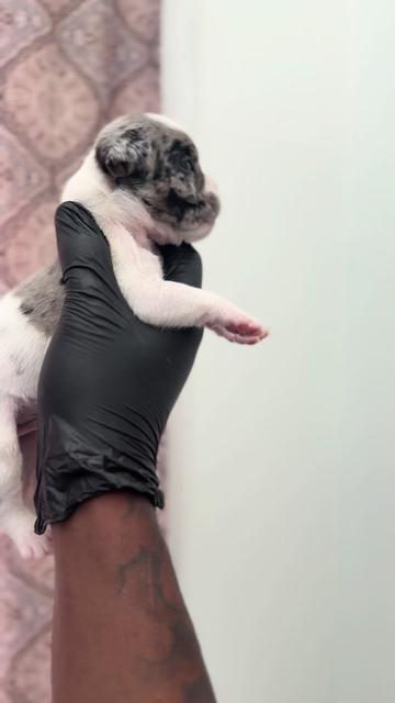 @SkinnyyBlack