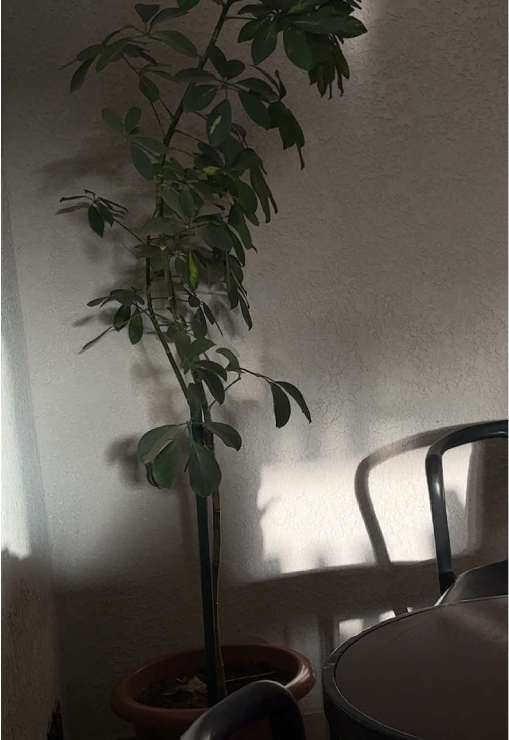 @&asymp;