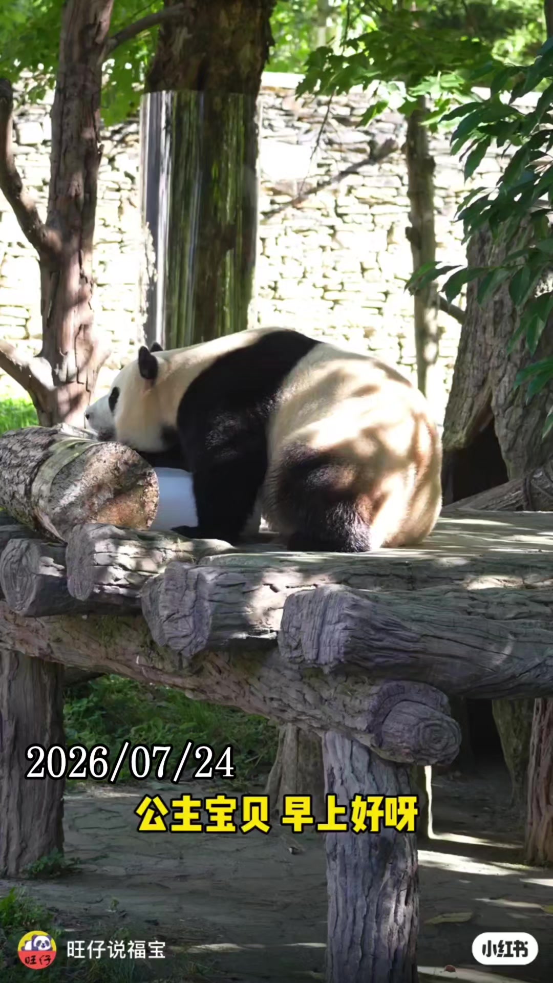 @福寶需要愛的抱抱