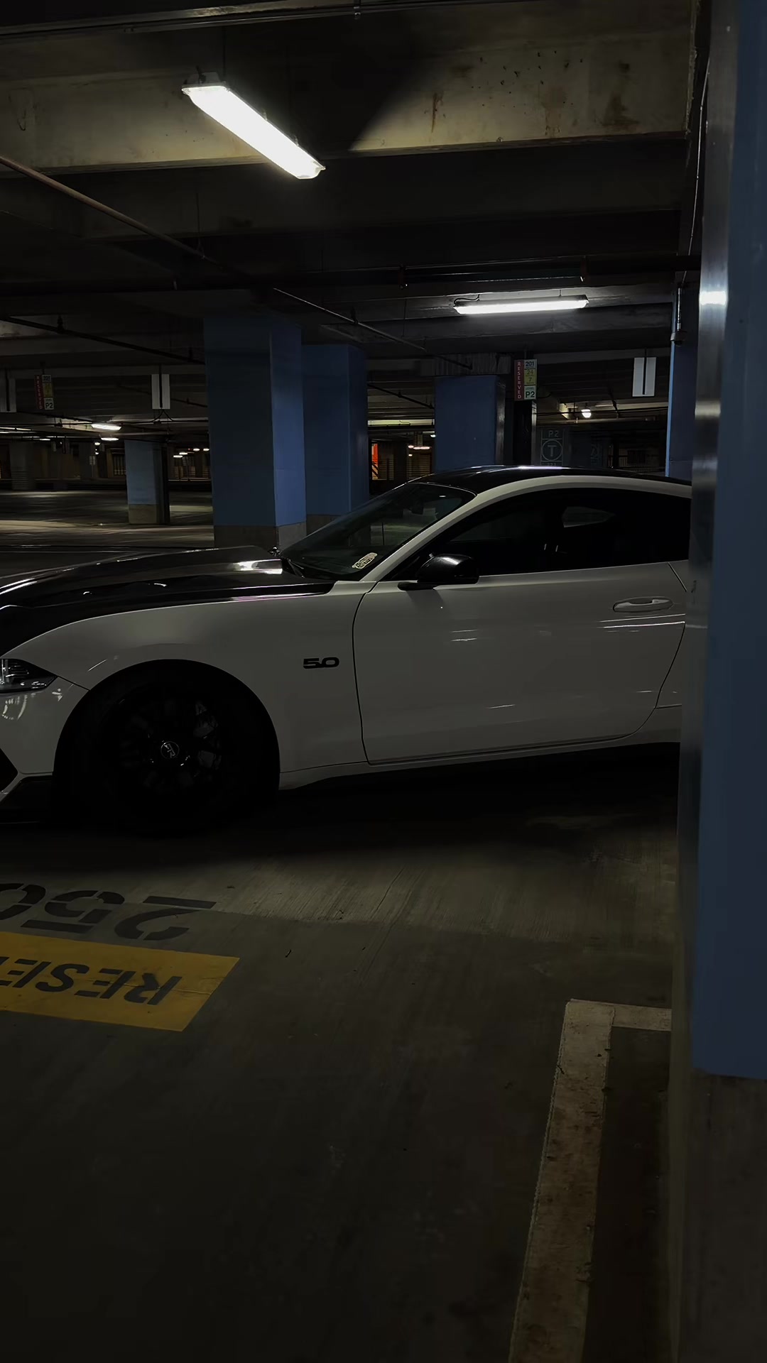 @lonestarrr_5.0