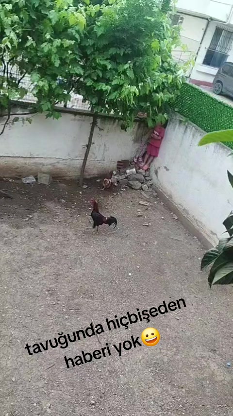 @Tanju şimşek