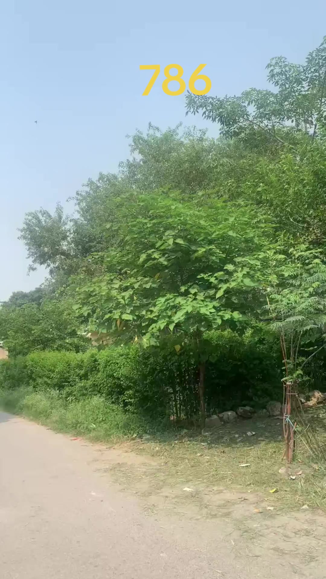 @sarkar 786🤟♥️🤟