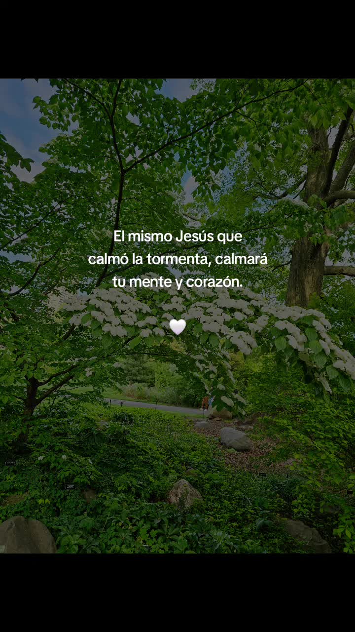 @🎶🎵🎧LUNA🎶🎵🎧