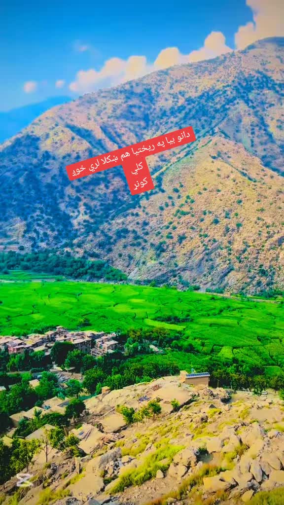@Tayeebullah Hamdard