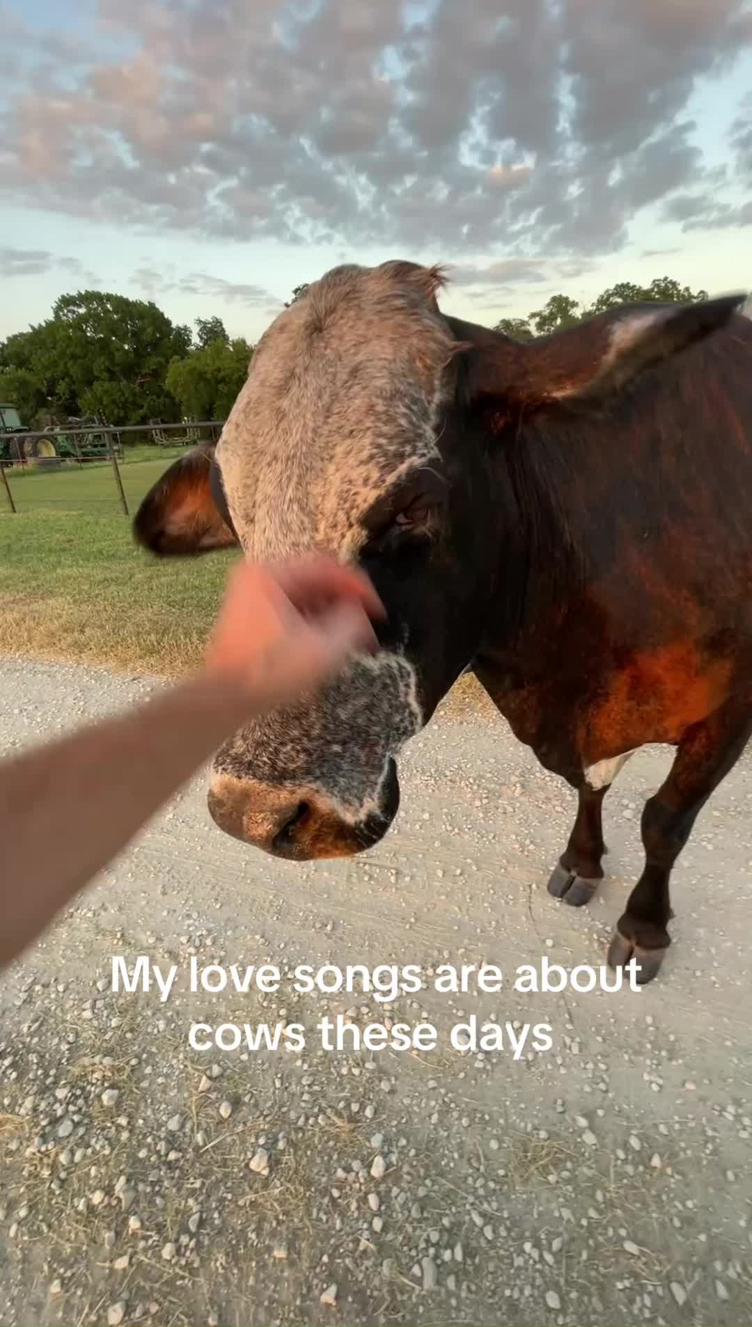 @The Farm Guy