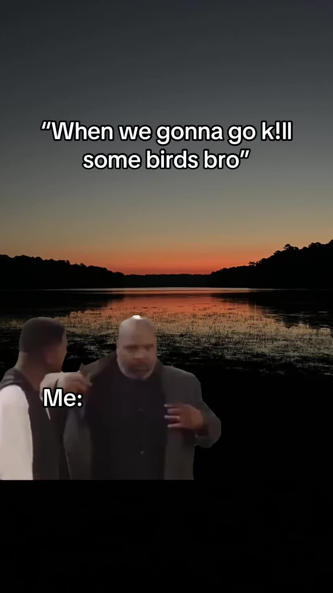@American Mallard
