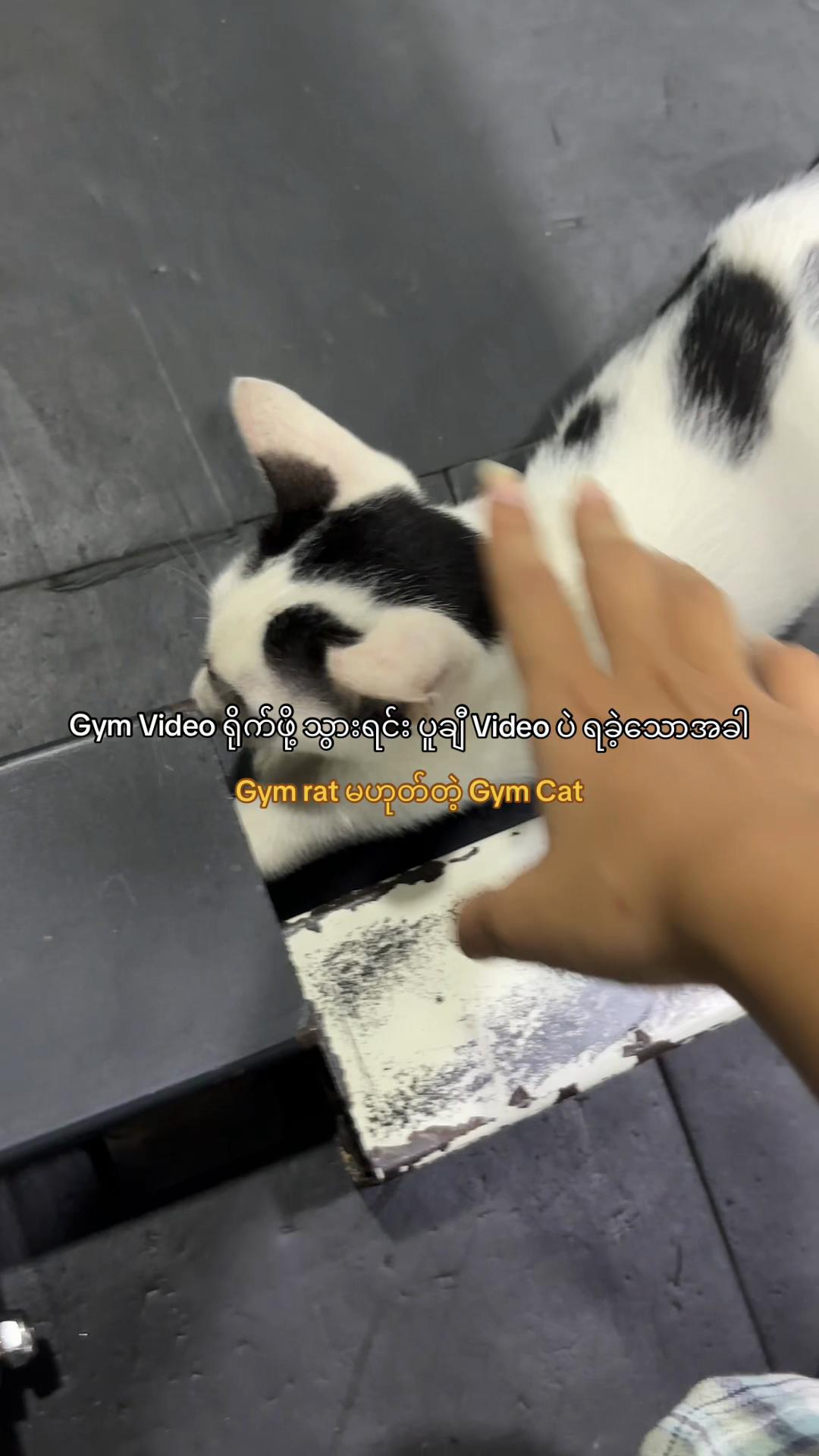 @HSLO