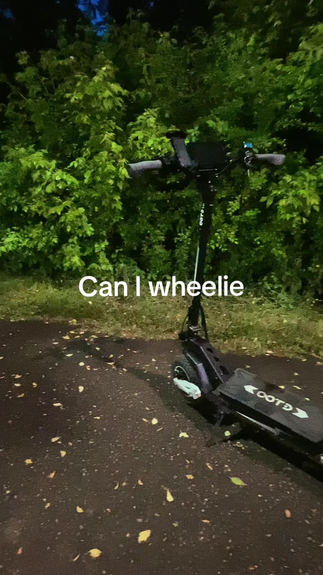 @Escooter_ripper