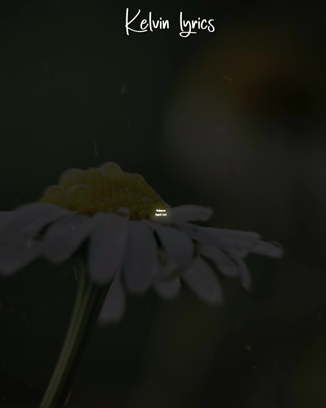 @𝐊𝐈𝐍𝐆 𝐎𝐅 𝐋𝐘𝐑𝐈𝐂𝐒