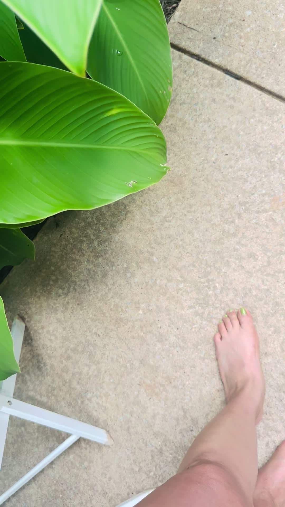@Marbella