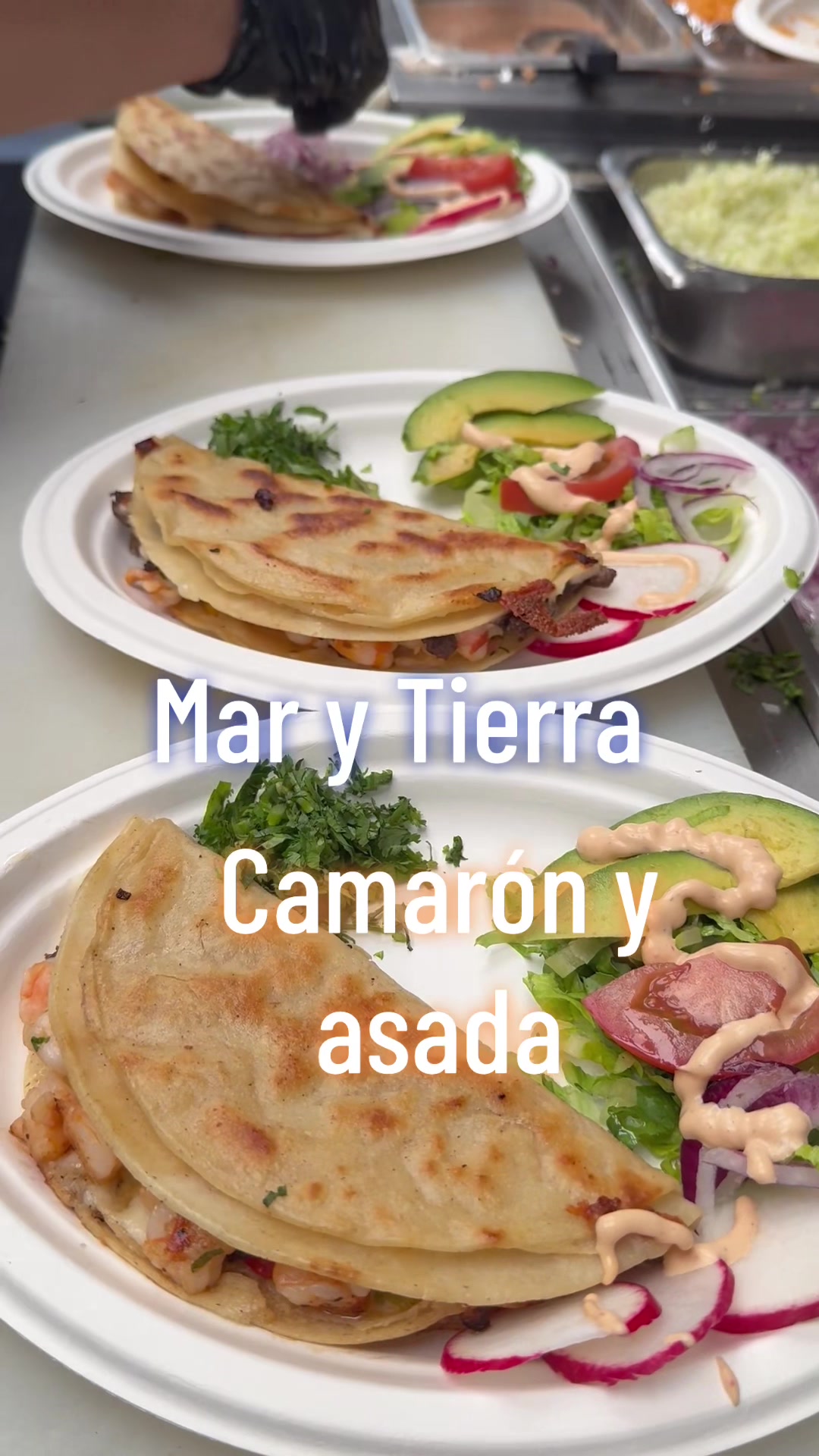 @taconmadremzt