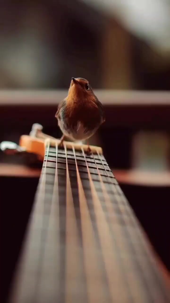 @OLEGATORDOBRA🌟