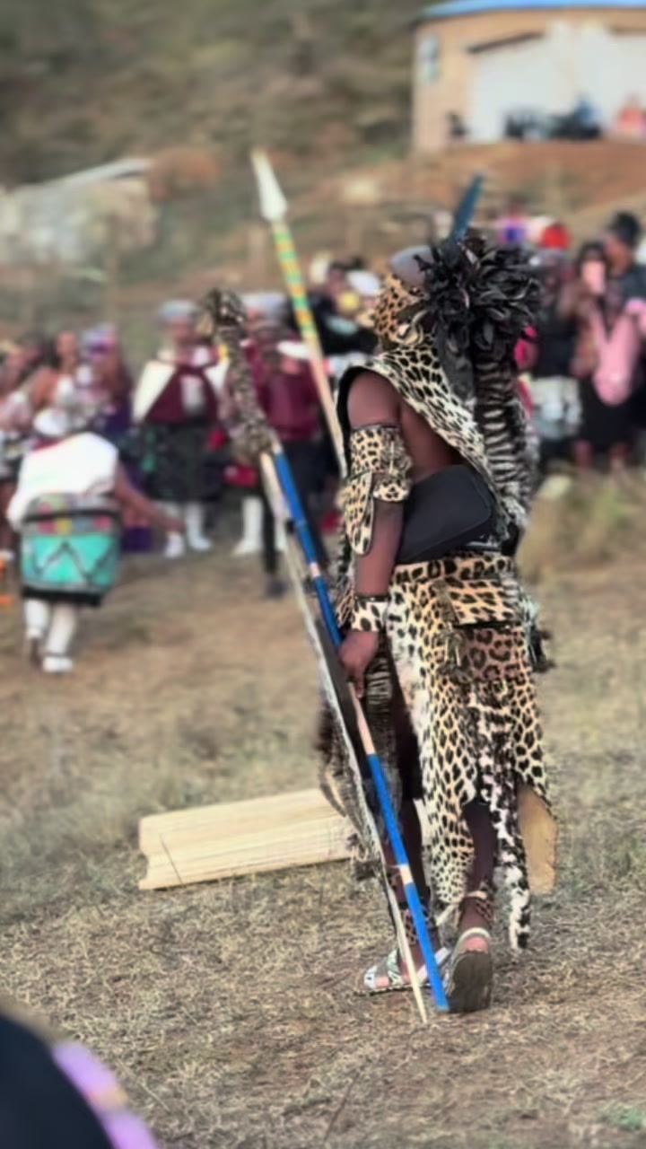 @zibu.nkosi