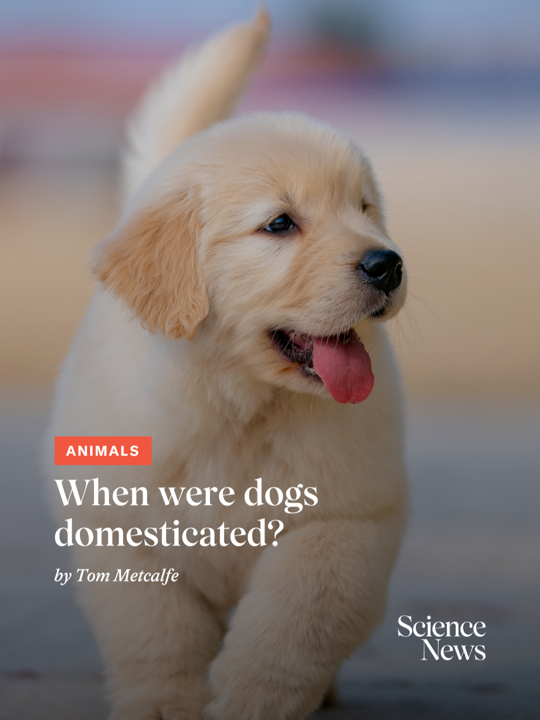 @Science News