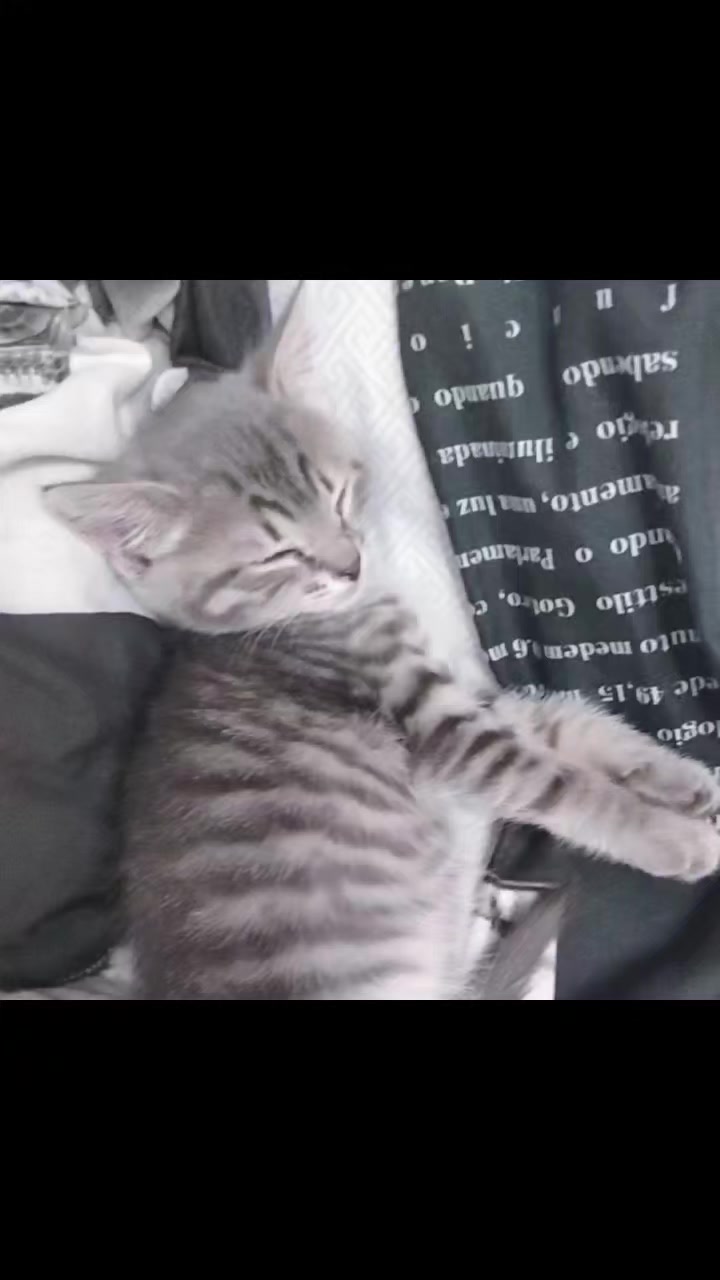@𝐋𝐚𝐝𝐲✯𝐌𝐢𝐥𝐥𝐞𝐫