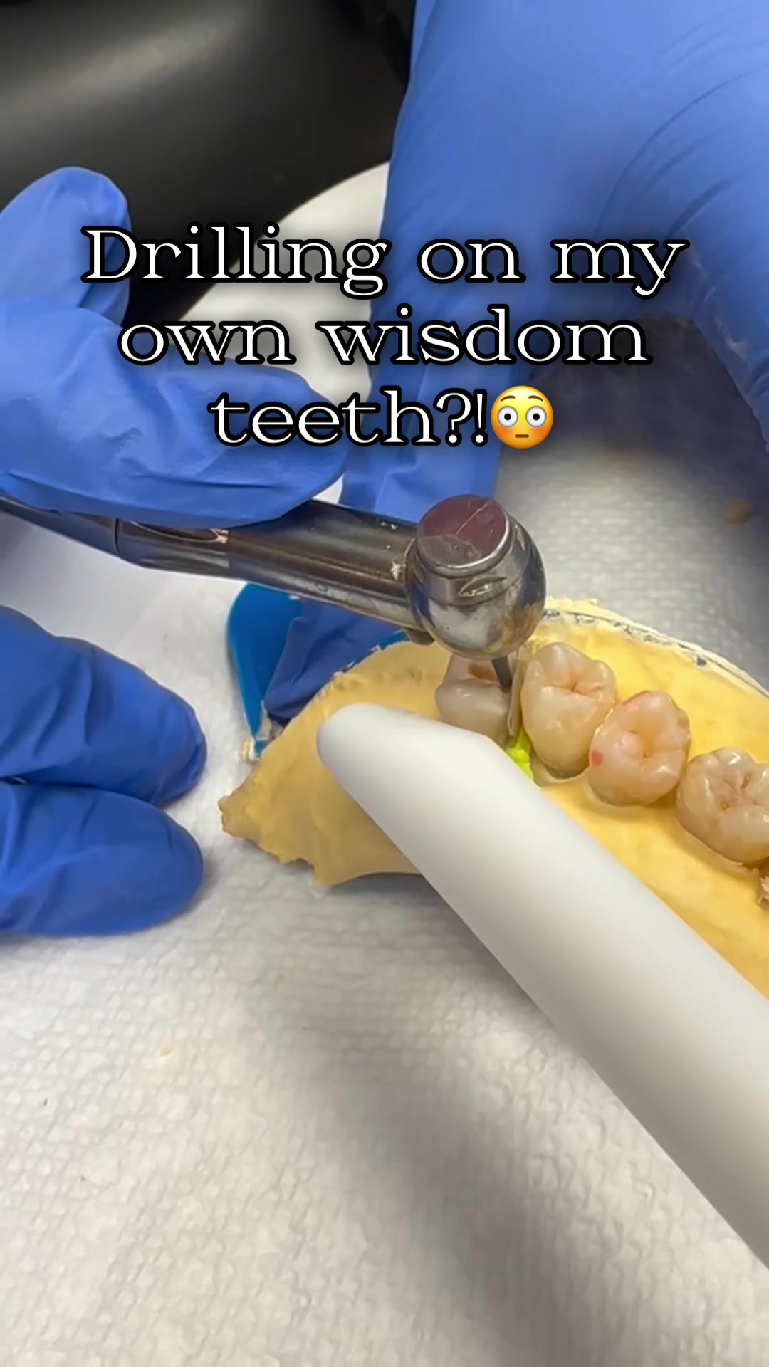 @Shaina | D1🦷