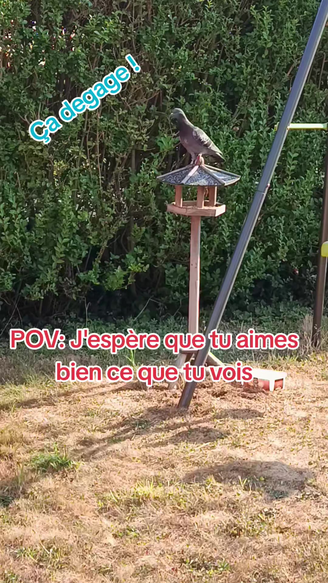 @⚜️ Cléopatre ⚜️