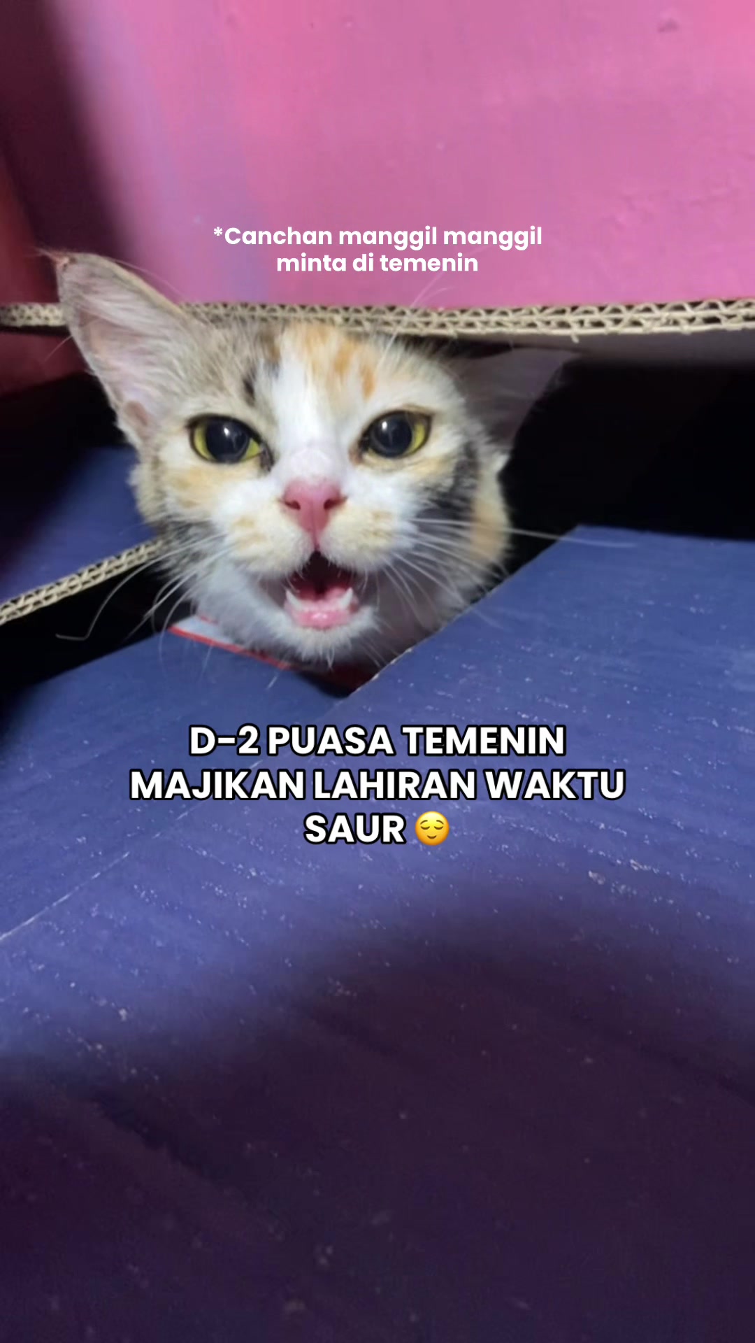 @Cikchubwa