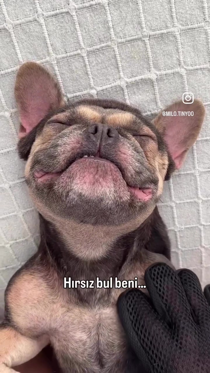 @Ümit Erdoğan