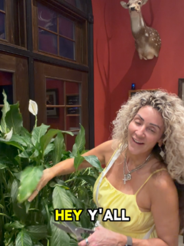 @jojo