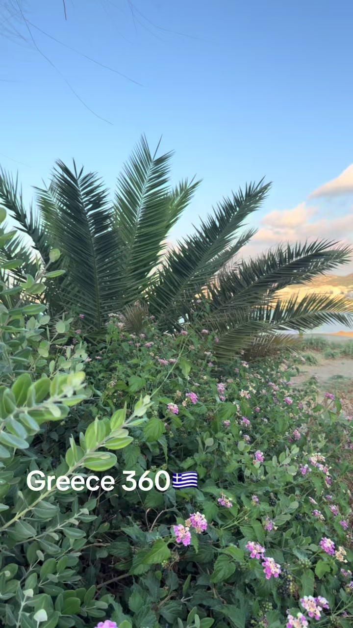 @Greece360