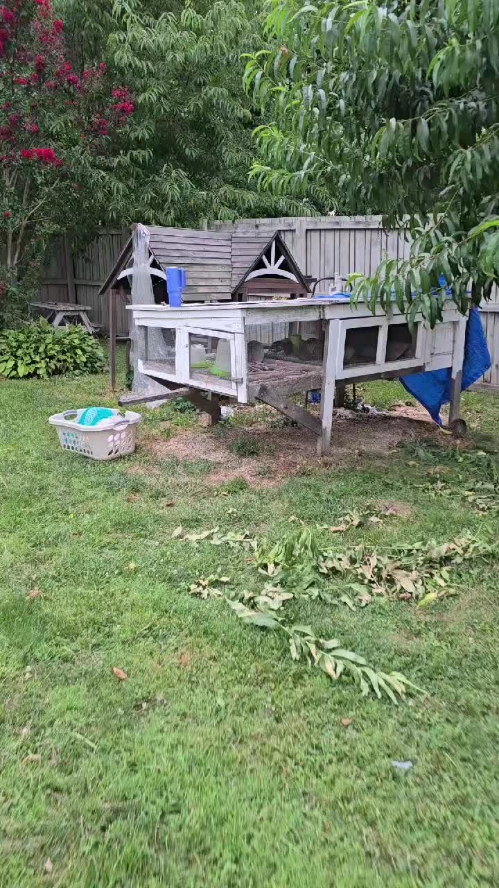 @ActiveMommy