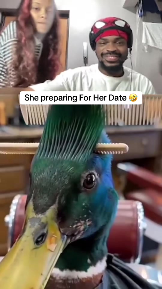 @Fynextthecreator