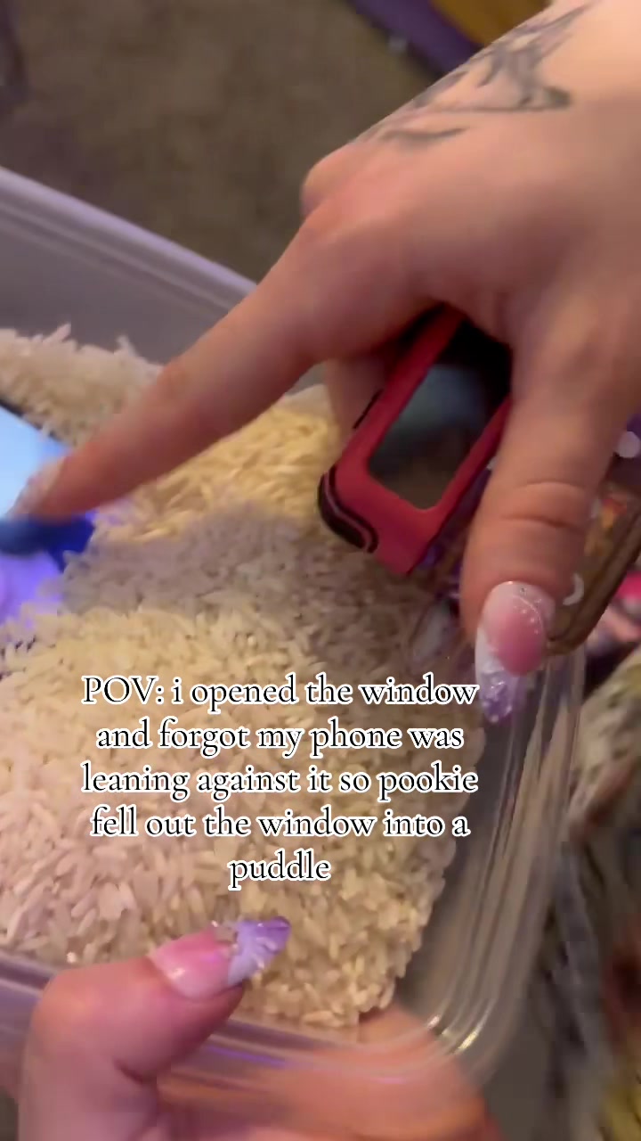 @minijerzy