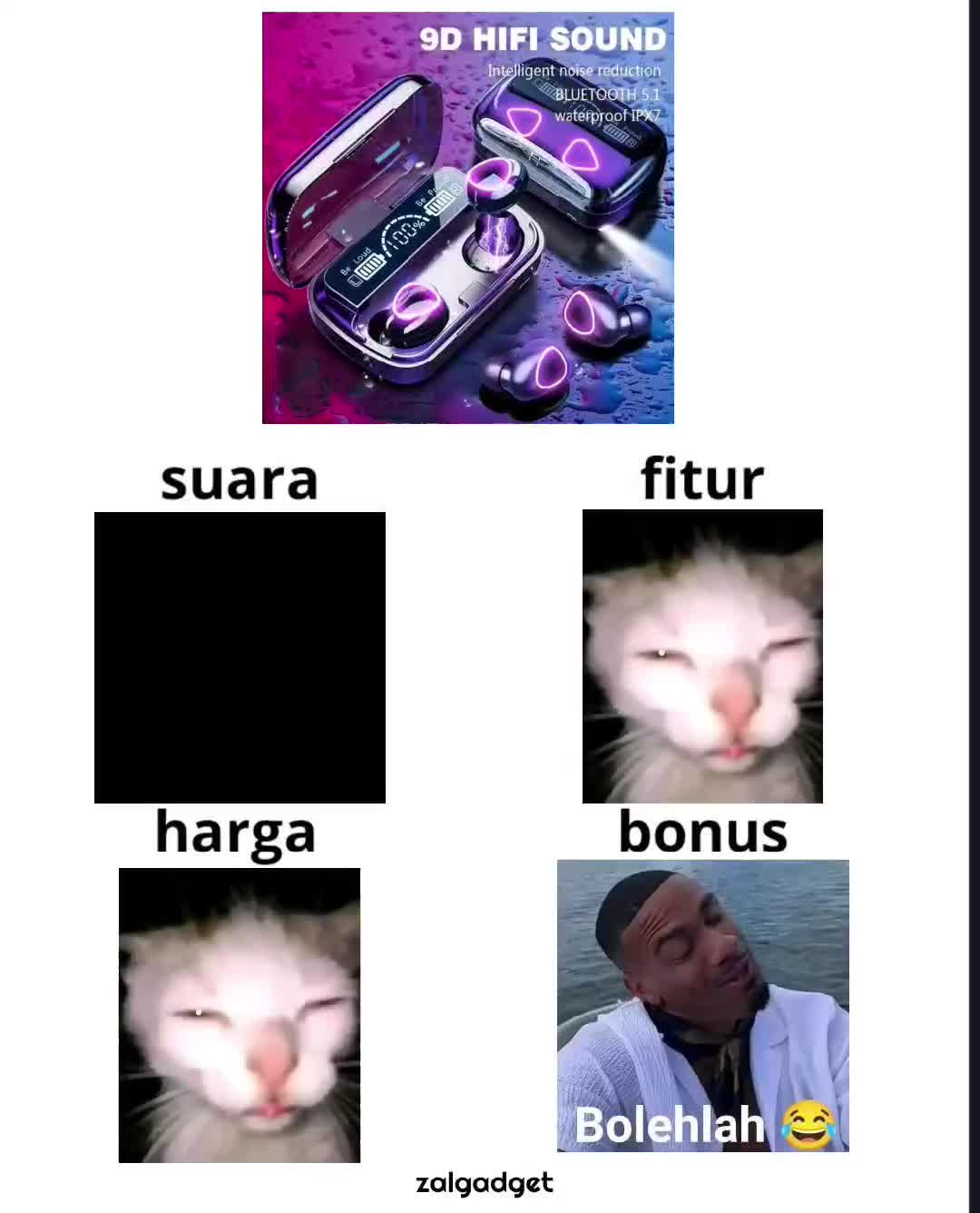 @ZalGadget√