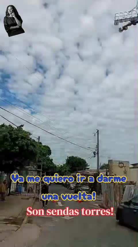 @salvilandia