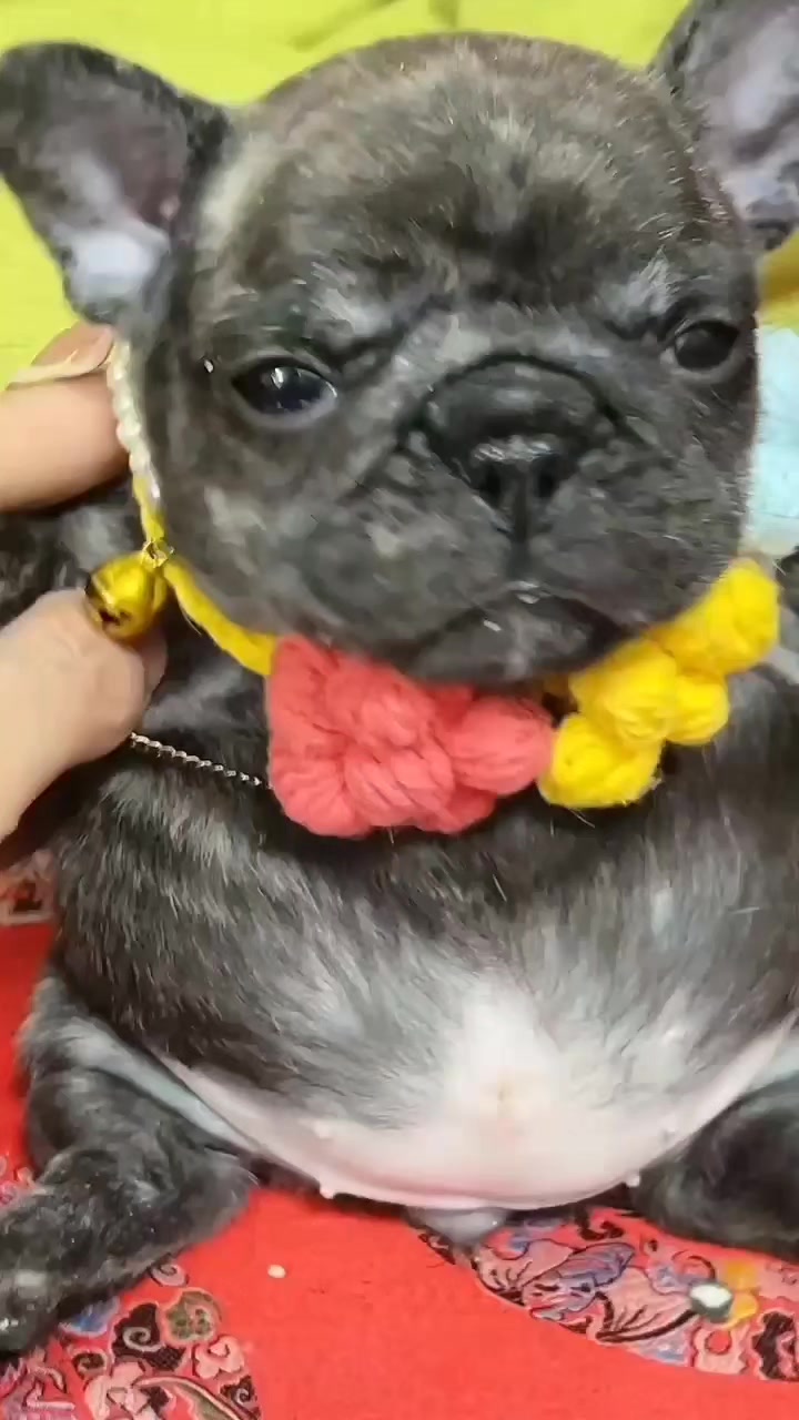 @MisterRobo