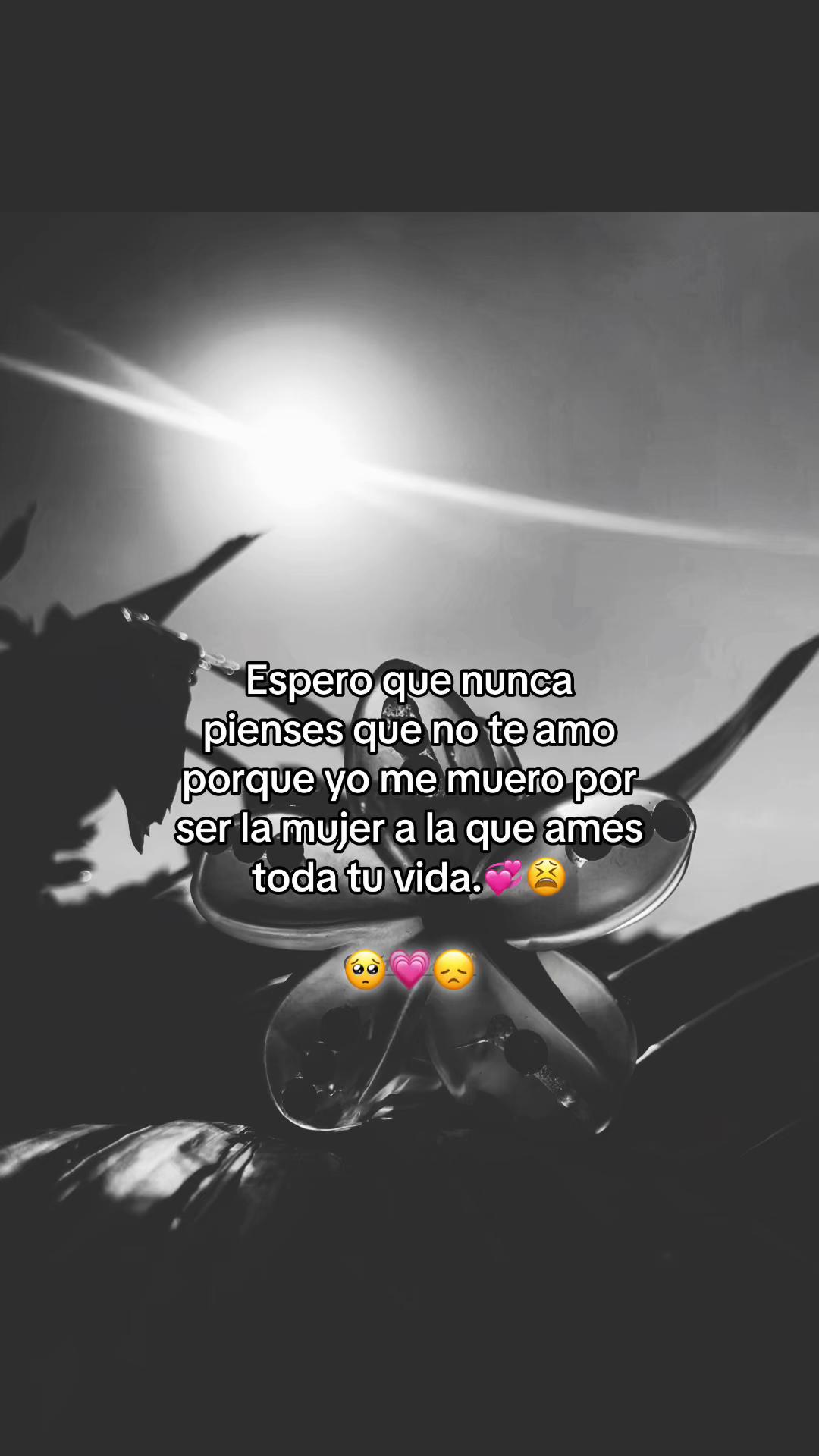 @𝓔𝓵𝔂.➳💔︎︎👤