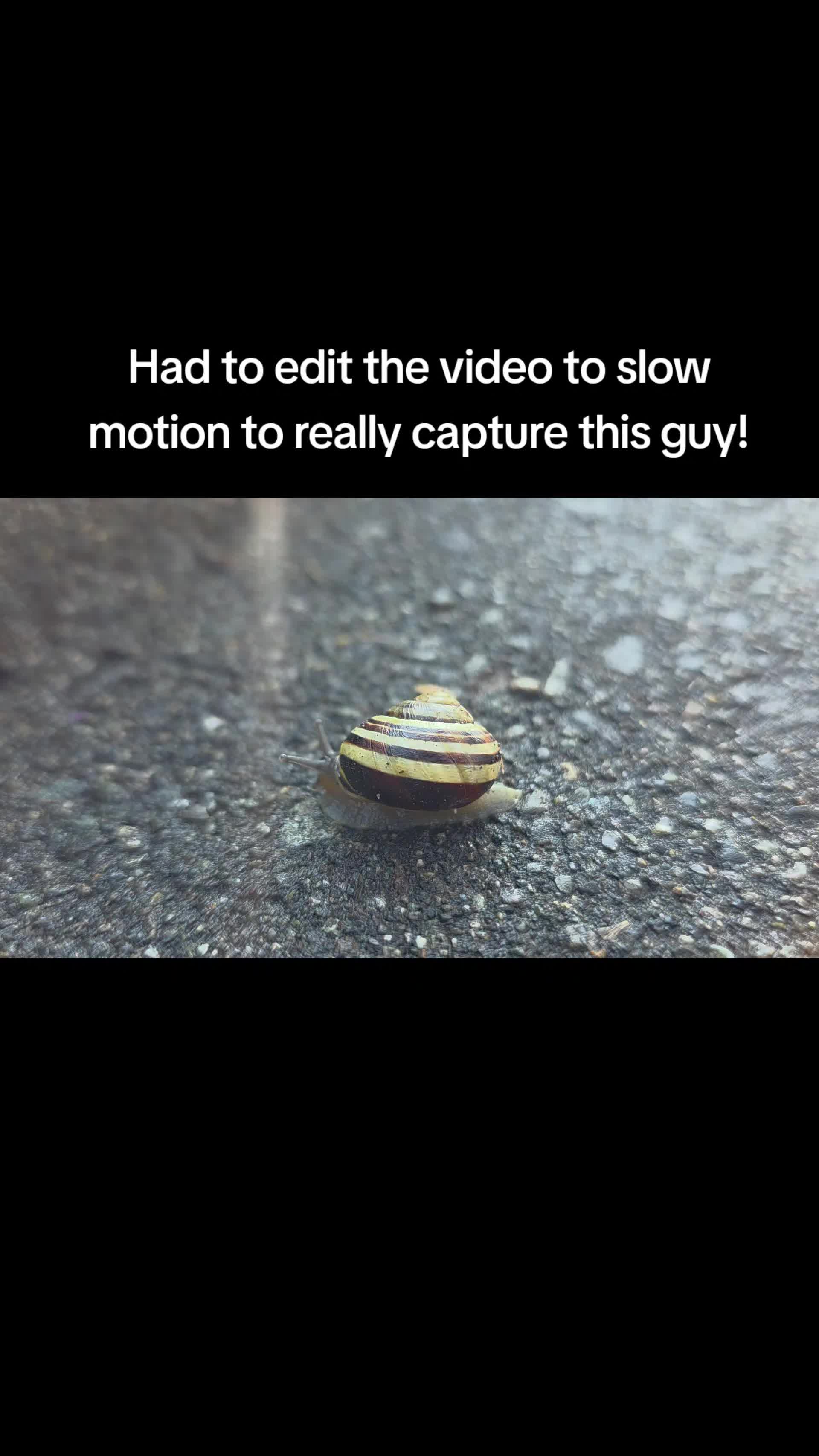 @ShitShowOnTheRoad