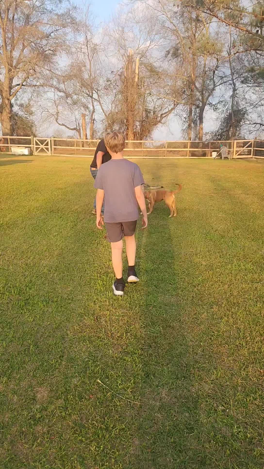 @alpacalypsenow