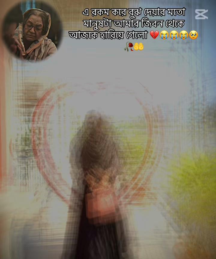 @تومي شودو امر