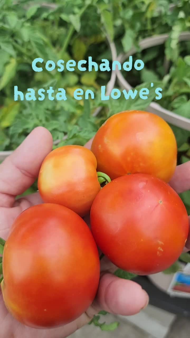 @Mi Rincón Favorito