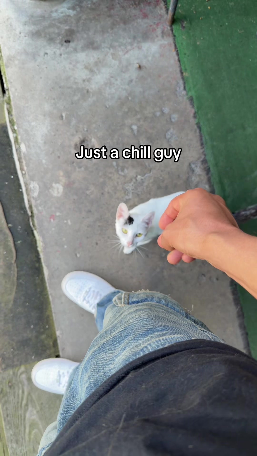 @Vic_Wocklord🥱🥤