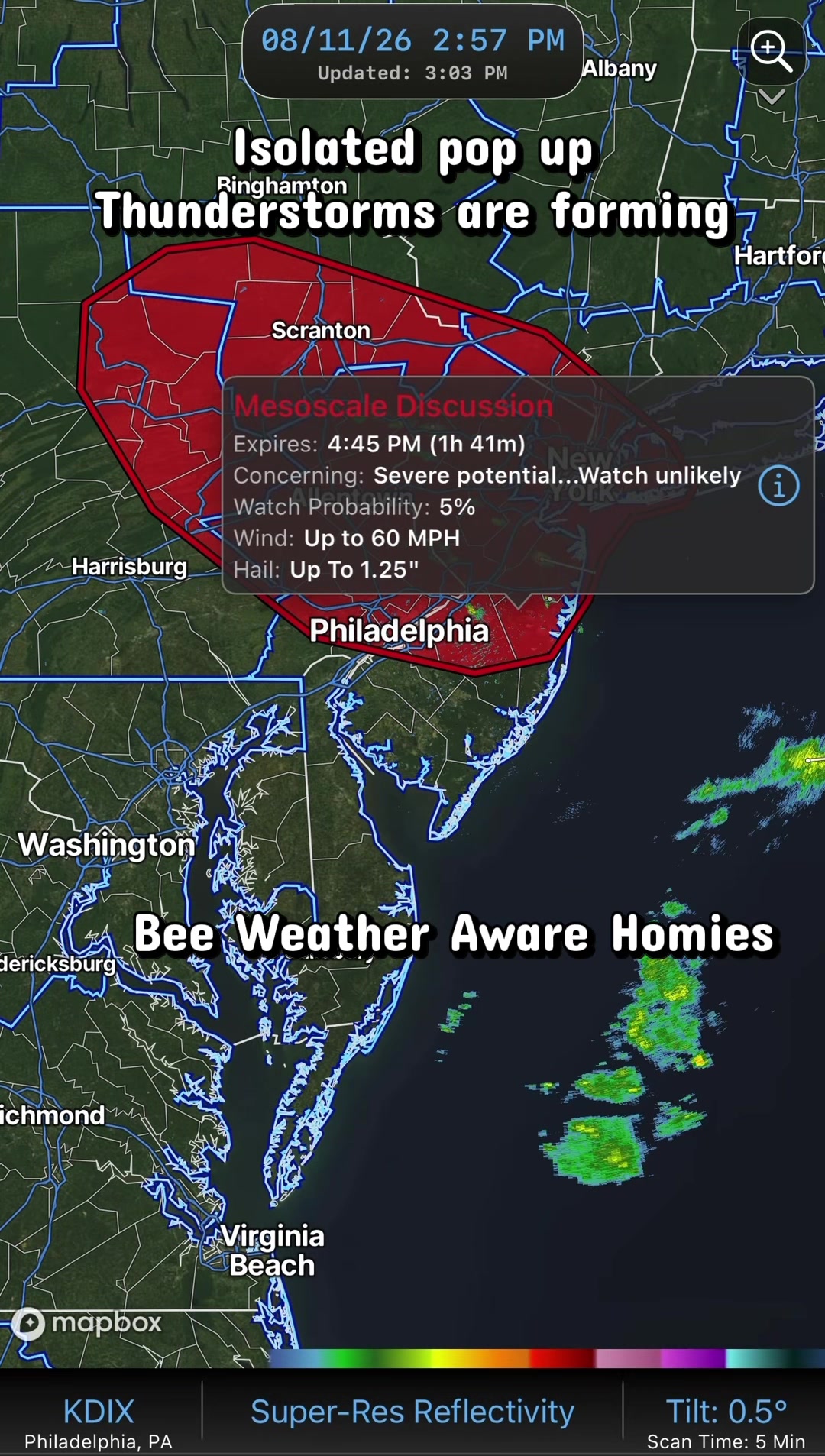 @🌪️Weather Beeotch 🐝