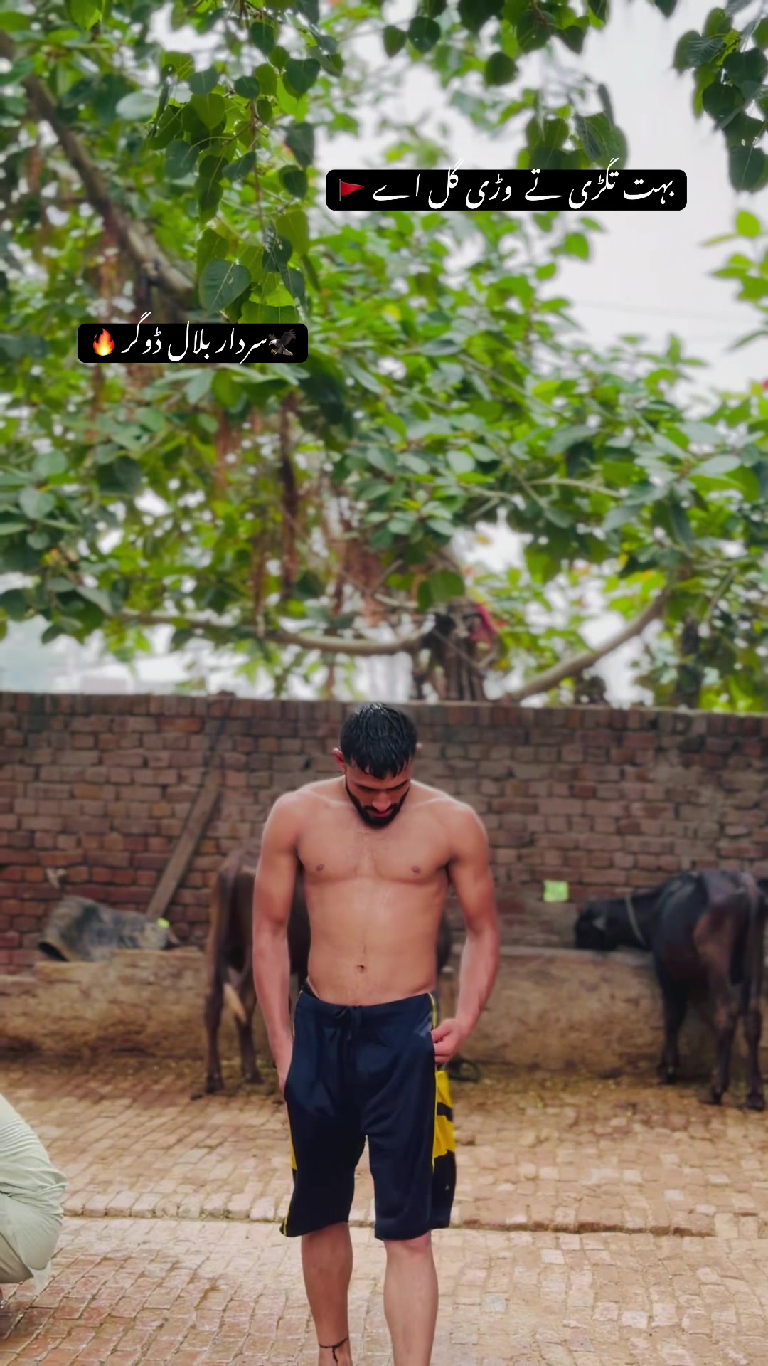 @bilalkamaliaala_777